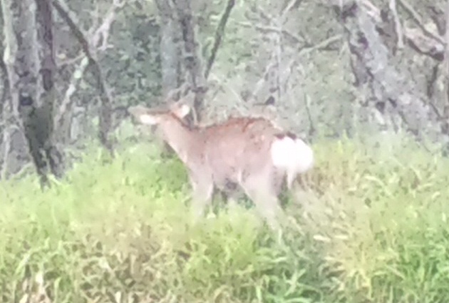 120926 釧路3日目 (16) 120926 釧路3日目 (16)