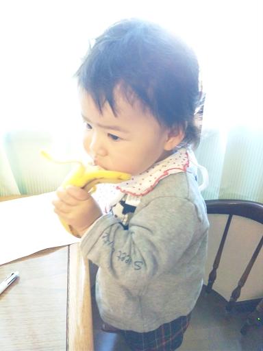 130312 須磨水族園1 130312 須磨水族園1