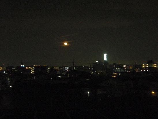 130328 大学の夜桜4 130328 大学の夜桜4