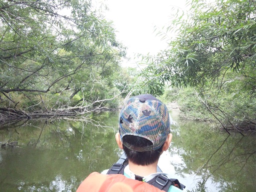 120926 釧路3日目 (17) 120926 釧路3日目 (17)