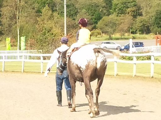 120927 釧路4日目 (2) 120927 釧路4日目 (2)