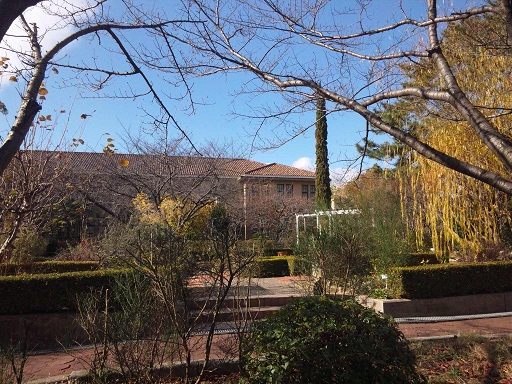 121219 大学青空 121219 大学青空