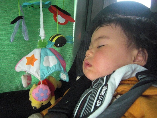 130402 花鳥園 (5) 130402 花鳥園 (5)