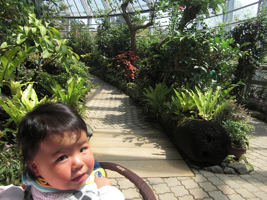 130413　昆虫館 (11)