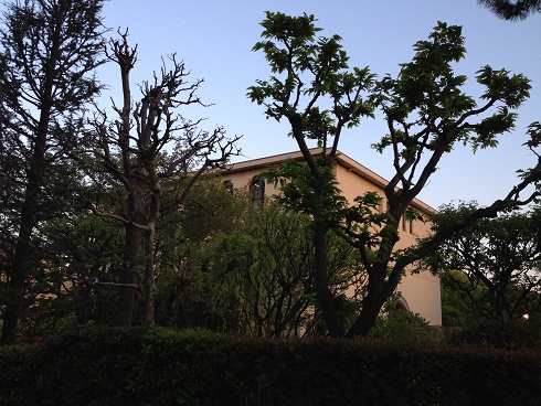 130422 朝夕の大学 (3) 130422 朝夕の大学 (3)