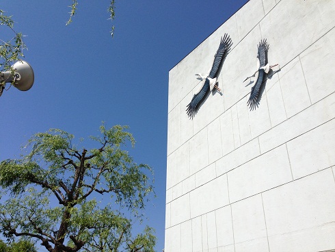 130503 但馬憲法集会 (1) 130503 但馬憲法集会 (1)