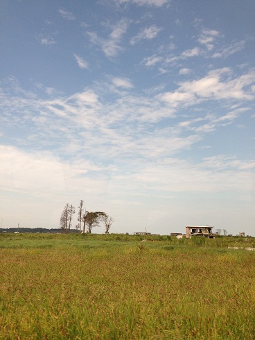 130912 福島旅行2日目1 (42) 130912 福島旅行2日目1 (42)