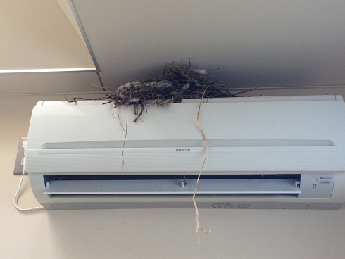 130912 福島旅行2日目1 (73) 130912 福島旅行2日目1 (73)