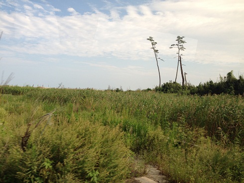 130912 福島旅行2日目1 (47) 130912 福島旅行2日目1 (47)