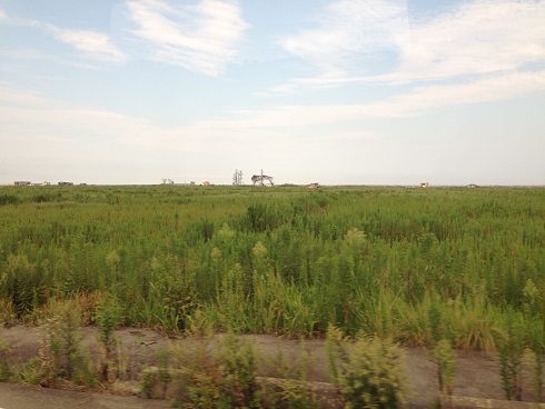 130912 福島旅行2日目1 (92) 130912 福島旅行2日目1 (92)