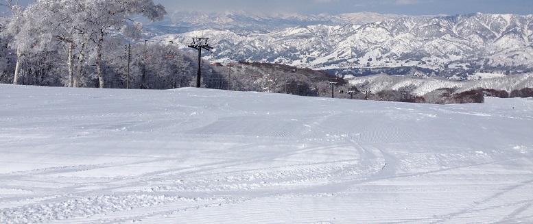 140315 ゴクラク4日目 (29) 140315 ゴクラク4日目 (29)