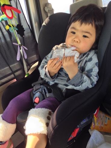 140322 神戸・長居博物館 (10) 140322 神戸・長居博物館 (10)