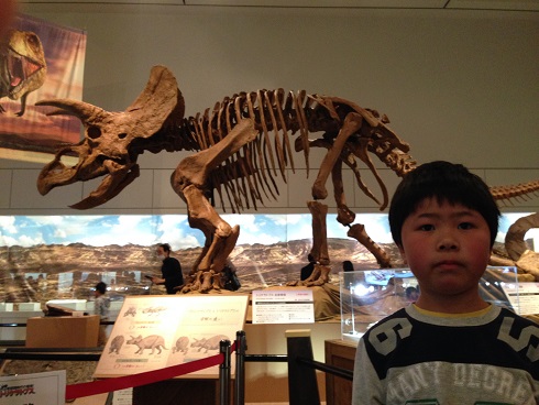 140322 神戸・長居博物館 (20) 140322 神戸・長居博物館 (20)