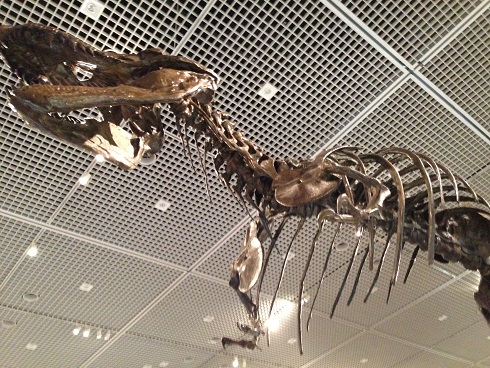 140322 神戸・長居博物館 (24) 140322 神戸・長居博物館 (24)