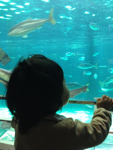 140323 須磨海浜水族園 (3) 140323 須磨海浜水族園 (3)