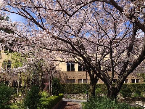 140404 入学式の日 (2) 140404 入学式の日 (2)