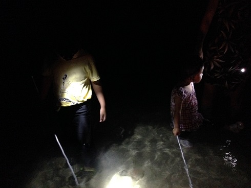 140805　奄美大島２日目２ (12)