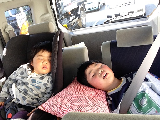 140322 神戸・長居博物館 (12) 140322 神戸・長居博物館 (12)