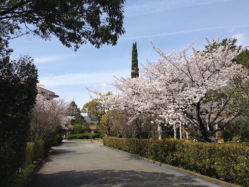 140331 大学 (4) 140331 大学 (4)