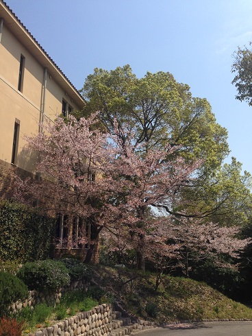 140407 大学 (2) 140407 大学 (2)