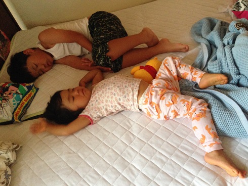 140808 新参ズ (1) 140808 新参ズ (1)