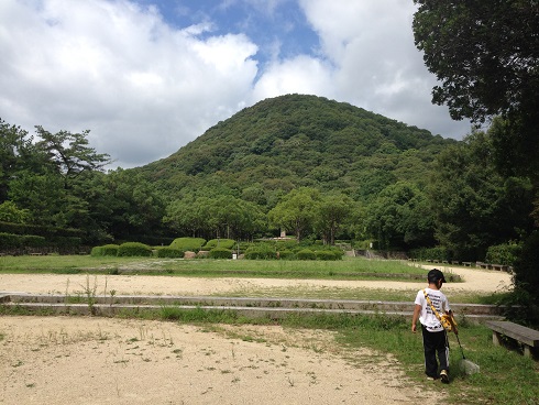 140827 甲山昆虫採集 (10) 140827 甲山昆虫採集 (10)