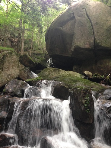 140908 福島視察旅行1日目 (27) 140908 福島視察旅行1日目 (27)