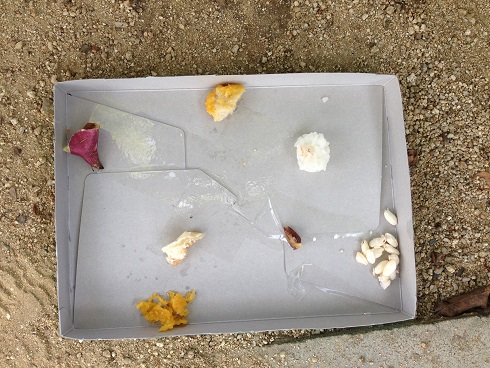 140820 ユウシン蟻実験 (1) 140820 ユウシン蟻実験 (1)