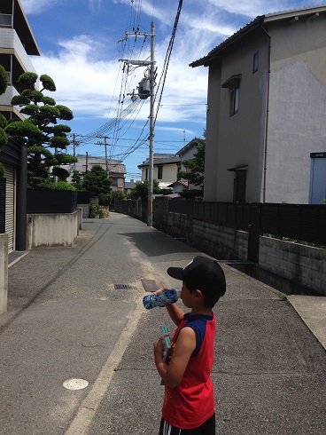 140820 ユウシン蟻実験 (39) 140820 ユウシン蟻実験 (39)