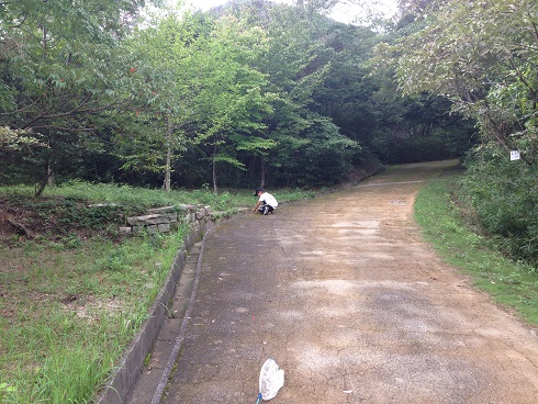 140827 甲山昆虫採集 (18) 140827 甲山昆虫採集 (18)