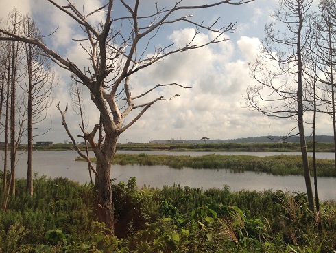 140909 福島視察旅行2日目 (26) 140909 福島視察旅行2日目 (26)