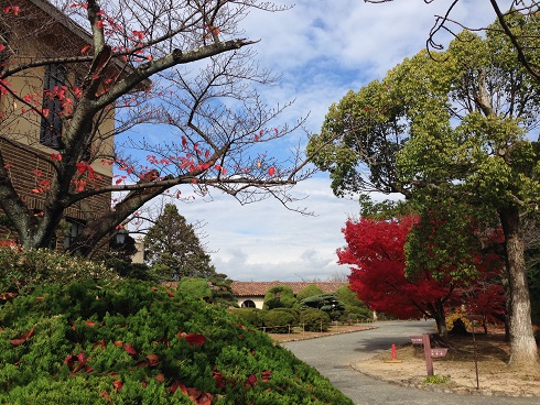 141128 かもがわ講演会 (1) 141128 かもがわ講演会 (1)