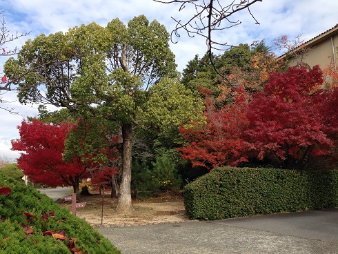 141128 かもがわ講演会 (3) 141128 かもがわ講演会 (3)