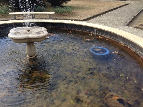 141218 中庭の氷 (2) 141218 中庭の氷 (2)