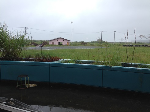 150908 福島・浪江町 (26) 150908 福島・浪江町 (26)