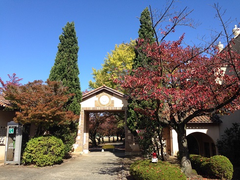 151103 大学散歩と一風堂 (17) 151103 大学散歩と一風堂 (17)