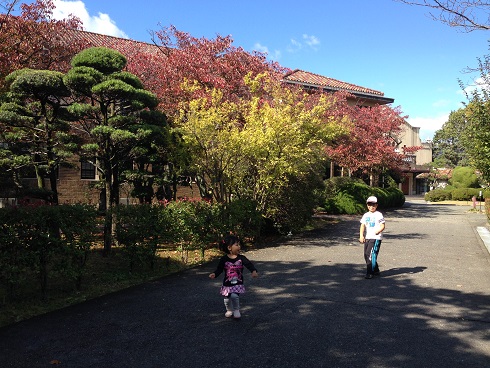 151103 大学散歩と一風堂 (31) 151103 大学散歩と一風堂 (31)