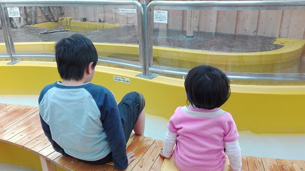 160106 神戸2日目 (17) 160106 神戸2日目 (17)