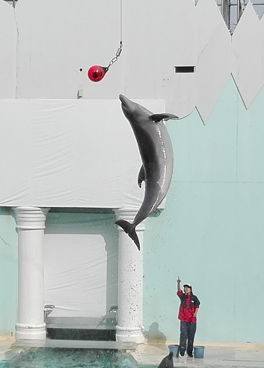 160106 神戸2日目 (27) 160106 神戸2日目 (27)