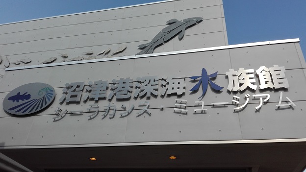 160818 静岡の兄新参 (23) 160818 静岡の兄新参 (23)