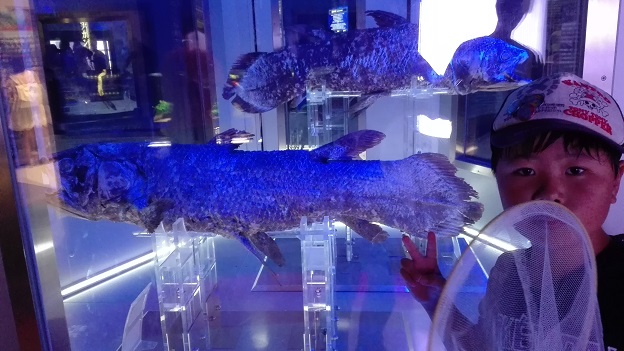 160818 静岡の兄新参 (20) 160818 静岡の兄新参 (20)