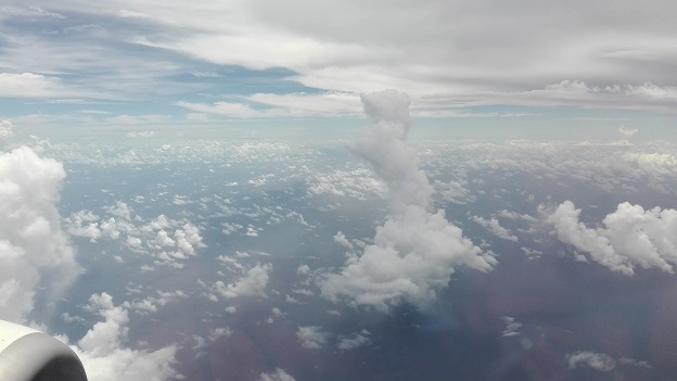 170821 奄美大島1日目 (21) 170821 奄美大島1日目 (21)