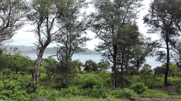 170822 奄美大島2日目 (8) 170822 奄美大島2日目 (8)