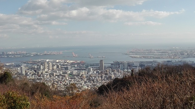 180102　布引ハーブ園 (51)