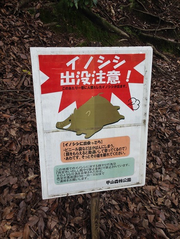 140827 甲山昆虫採集 (4) 140827 甲山昆虫採集 (4)