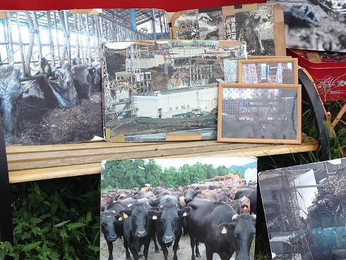 140910 福島視察旅行3日目 (12) 140910 福島視察旅行3日目 (12)