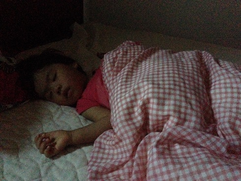 141009 アサ昼寝 141009 アサ昼寝