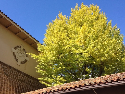 151103 大学散歩と一風堂 (35) 151103 大学散歩と一風堂 (35)