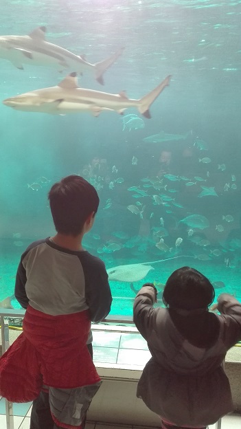 160106 神戸2日目 (10) 160106 神戸2日目 (10)