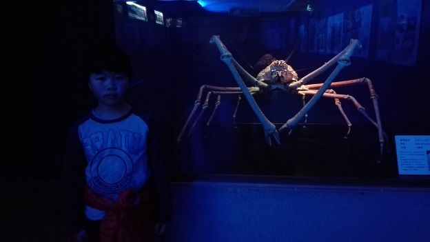 160106 神戸2日目 (11) 160106 神戸2日目 (11)